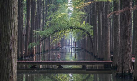 泰州十大最好玩的地方，泰州旅游景點攻略